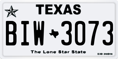 TX license plate BIW3073