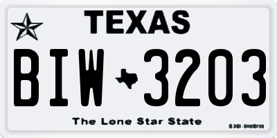 TX license plate BIW3203