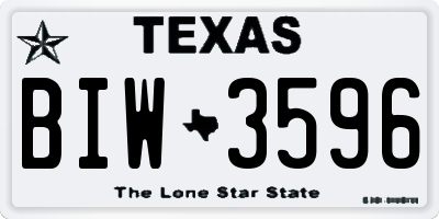 TX license plate BIW3596