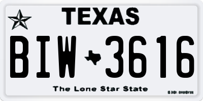 TX license plate BIW3616