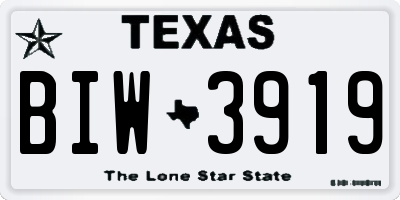 TX license plate BIW3919