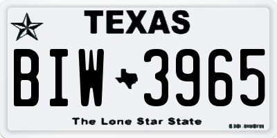 TX license plate BIW3965