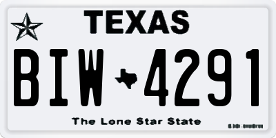 TX license plate BIW4291
