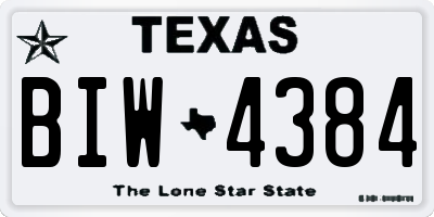 TX license plate BIW4384