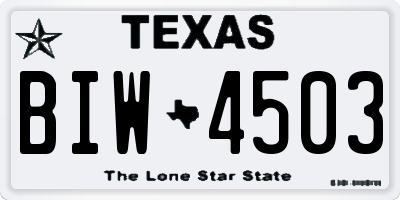 TX license plate BIW4503