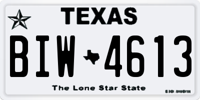 TX license plate BIW4613