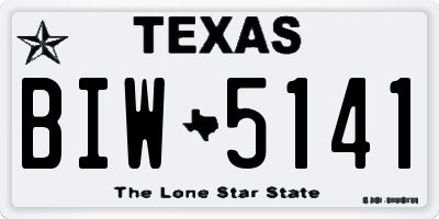 TX license plate BIW5141