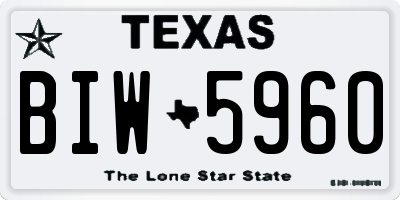 TX license plate BIW5960