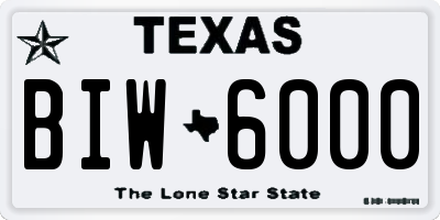 TX license plate BIW6000