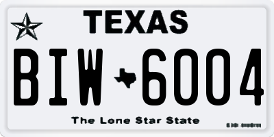 TX license plate BIW6004