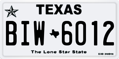 TX license plate BIW6012