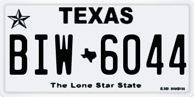 TX license plate BIW6044