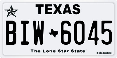 TX license plate BIW6045