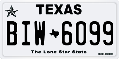 TX license plate BIW6099