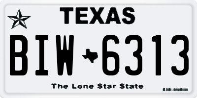 TX license plate BIW6313