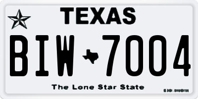 TX license plate BIW7004