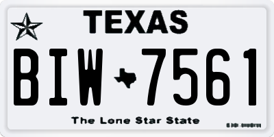 TX license plate BIW7561