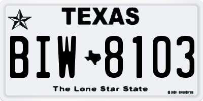 TX license plate BIW8103