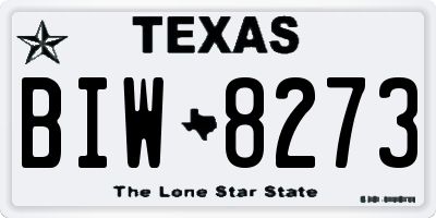 TX license plate BIW8273