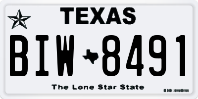 TX license plate BIW8491
