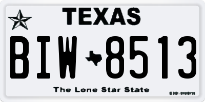 TX license plate BIW8513
