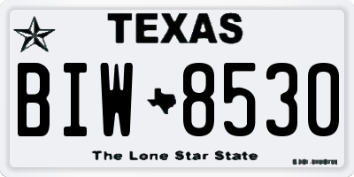 TX license plate BIW8530