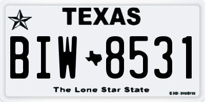 TX license plate BIW8531
