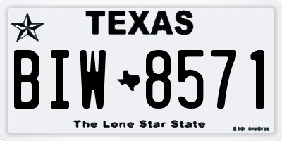 TX license plate BIW8571