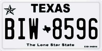 TX license plate BIW8596