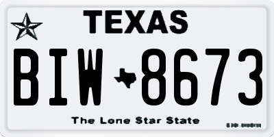 TX license plate BIW8673