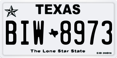 TX license plate BIW8973