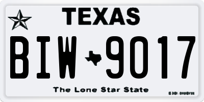 TX license plate BIW9017