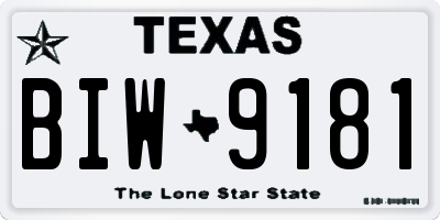 TX license plate BIW9181