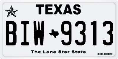 TX license plate BIW9313