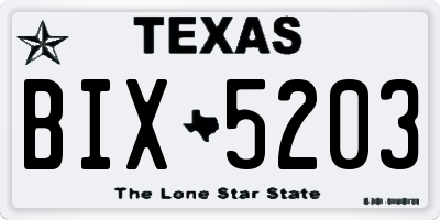 TX license plate BIX5203
