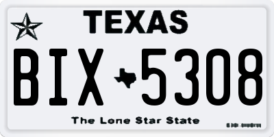 TX license plate BIX5308