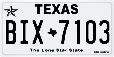 TX license plate BIX7103