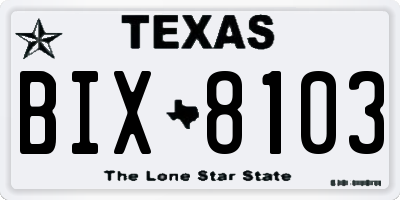 TX license plate BIX8103