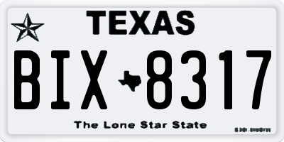 TX license plate BIX8317