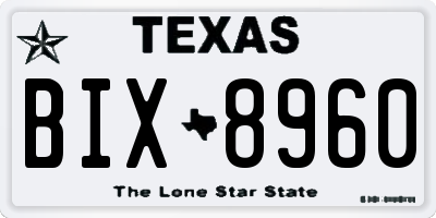 TX license plate BIX8960