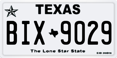 TX license plate BIX9029
