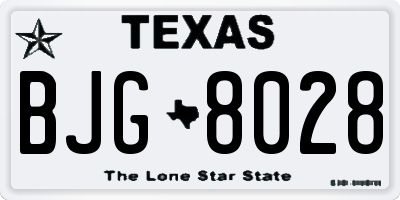 TX license plate BJG8028