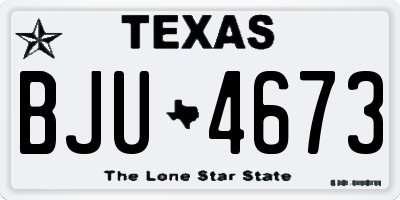 TX license plate BJU4673