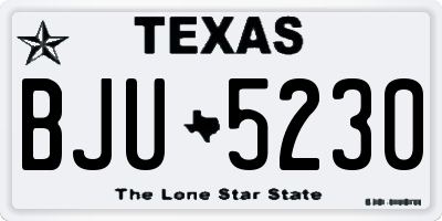 TX license plate BJU5230