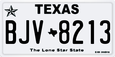 TX license plate BJV8213