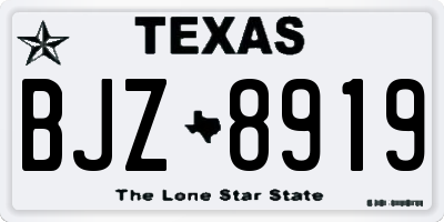 TX license plate BJZ8919