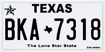 TX license plate BKA7318