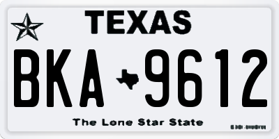 TX license plate BKA9612