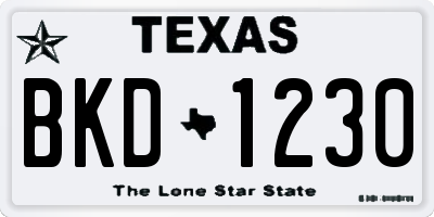 TX license plate BKD1230