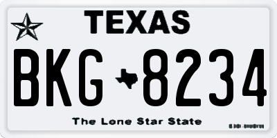 TX license plate BKG8234
